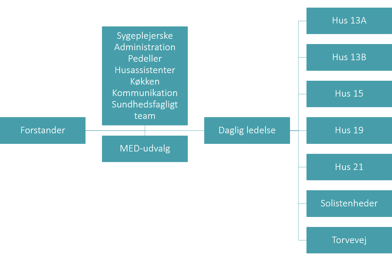 Organisationsdiagram Torvevej